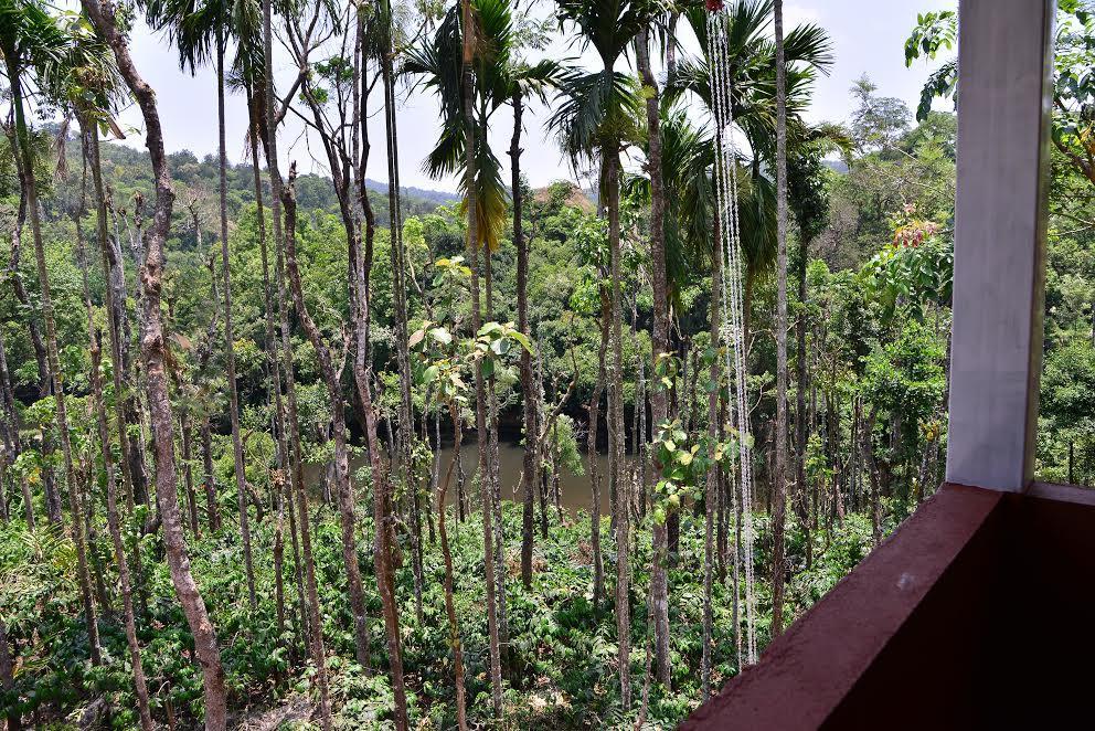 River Near Coorg Jambur Bagian luar foto