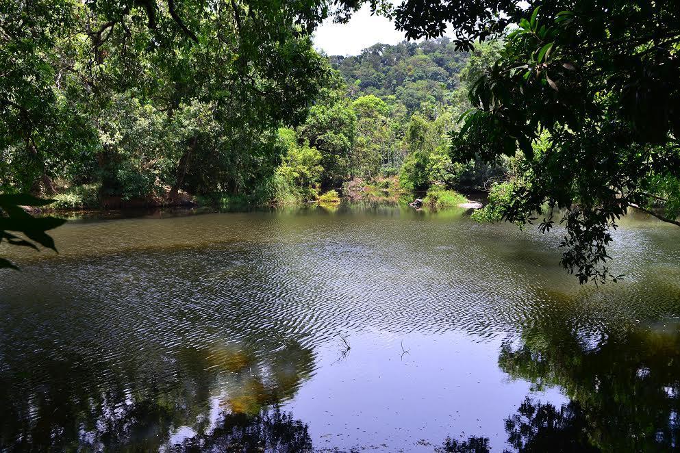 River Near Coorg Jambur Bagian luar foto